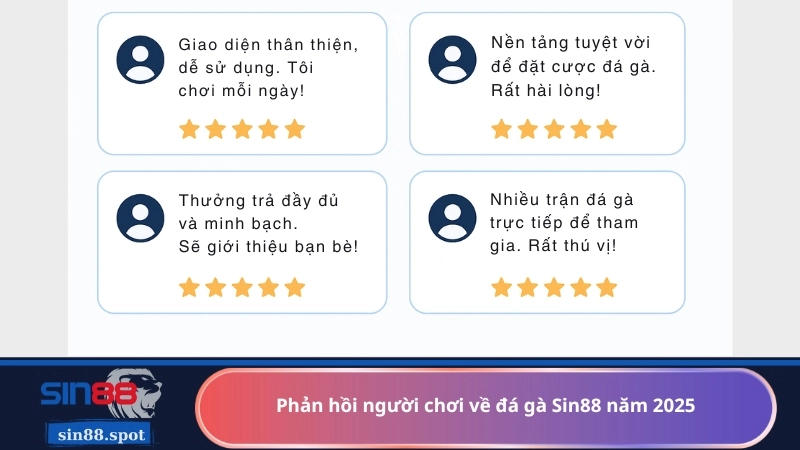 Phản hồi người chơi về đá gà Sin88 năm 2025